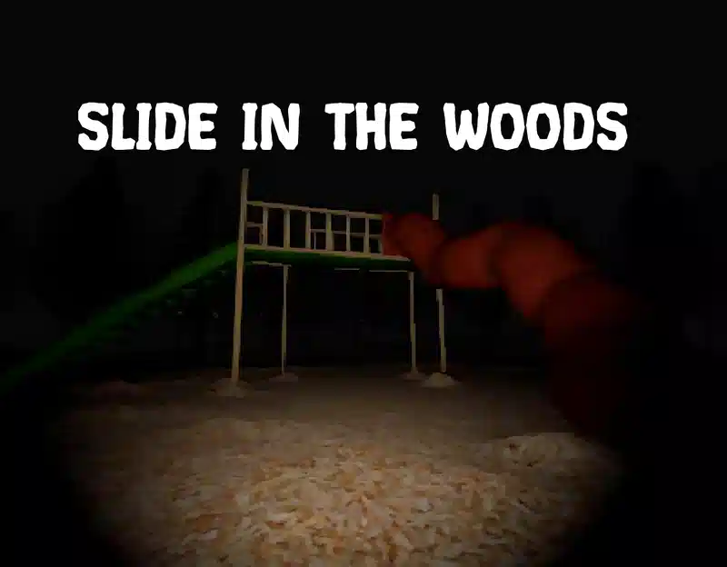 Slide in the woods cover